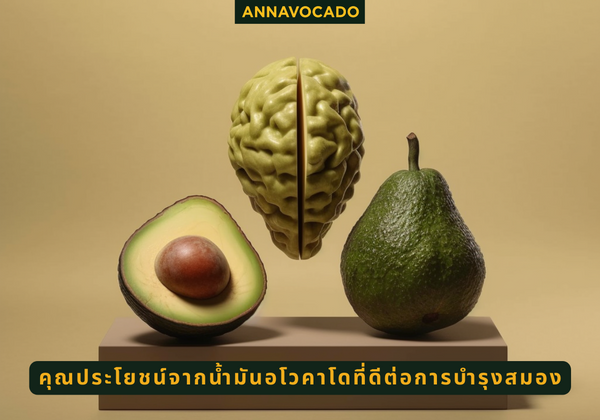 How Cold-Pressed Avocado Oil Contributes to Optimal Brain Function